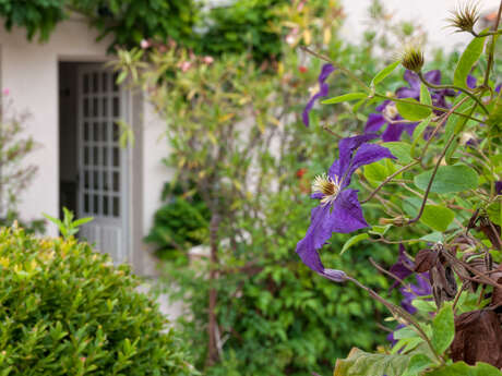 Salon de thé dans le jardin de l'Hôtel la Maison Douce Salon de thé dans le jardin de l'Hôtel la Maison Douce