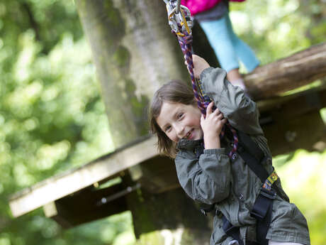 Climbing in trees