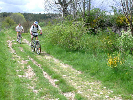 CIRCUIT VTT N°16 : BAUPILLAC CIRCUIT VTT N°16 : BAUPILLAC