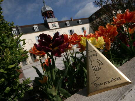 Aire de camping-car de Bar-sur-Aube