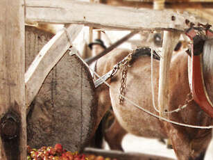 La Ferme d'Hotte