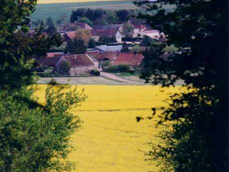 Balade entre plaine Champenoise et Pays d'Othe