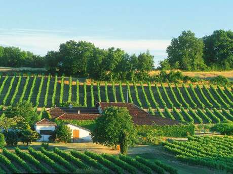 DOMAINE DES CASSAGNOLES