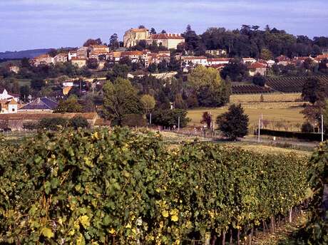 ENTRE VIGNES ET ADOUR