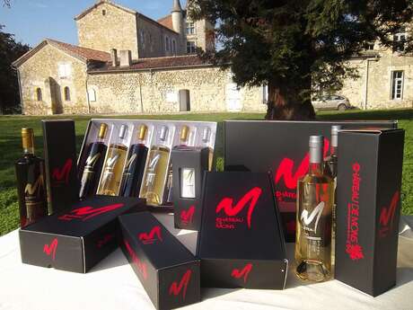 CHÂTEAU DE MONS EN ARMAGNAC
