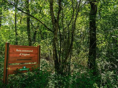 FORÊT D'AIGNAN