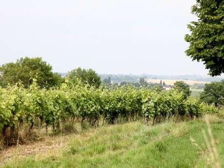 DOMAINE SÉAILLES