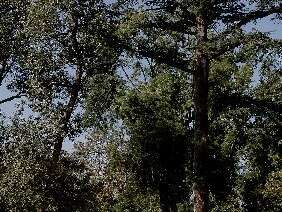CAMPING DE LABEYRIE