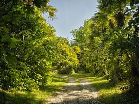 RENDEZ-VOUS AUX JARDINS - PALMERAIE DU SARTHOU A BÉTOUS
