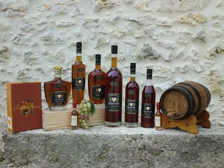 DOMAINE DE ROME
