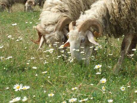 FERME DE BAYLOCQ