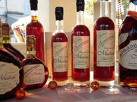 DOMAINE DE MEILLAN
