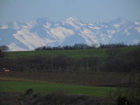 SPOT DE PHOTOS : VUE SUR LES PYRÉNÉES DEPUIS MONBLANC