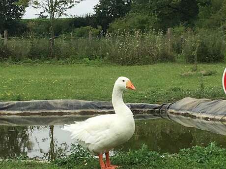 LA FERME DE HUSTET