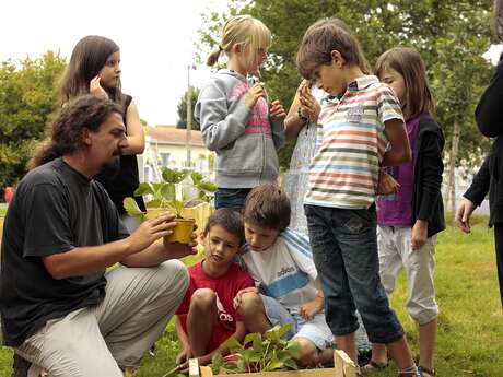 JARDIN ARTPICULTURE