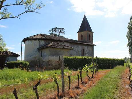 ARMAGNAC CONFIDENTIEL ; PIERRES SECRÈTES & VIGNES GOURMANDES