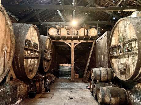 VIGNOBLES LADEVEZE