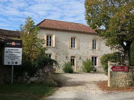 DOMAINE POLIGNAC