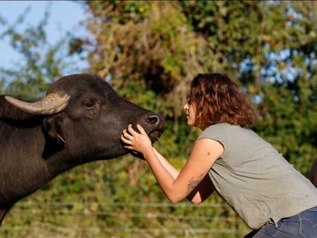 L'BUFALA FERME