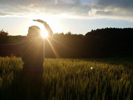 COURS DE QI GONG COURS DE QI GONG