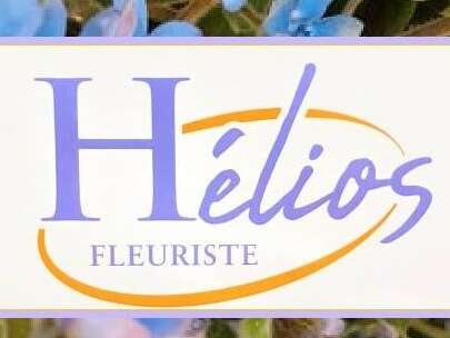 HELIOS FLEURS