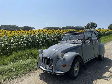CHEZ BRUNET : LOCATION D'UNE 2CV