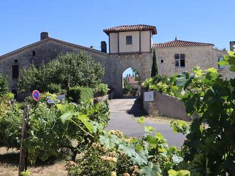 CHÂTEAUX ET GASTRONOMIE AUTOUR DE MAIGNAUT-TAUZIA - PR® n°29
