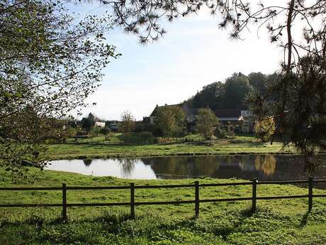 Du marais au côteau