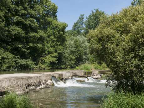 La rayère d'Alaincourt