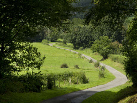 La Chouette et le Bocage