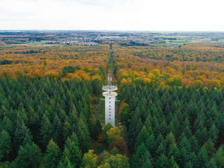 Le mur du parc à V.T.T.