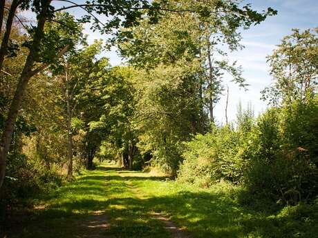 Le sentier de pirouette