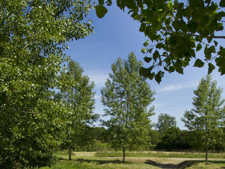 Carnet de route d'Etréaupont à Neuve-Maison