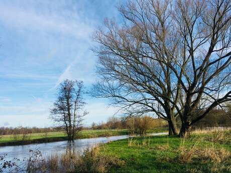 Les rayères de l'Oise