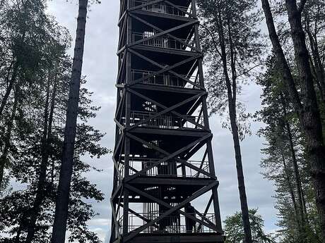 La tour d'observation du général Mangin