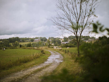 Le bocage de Mondrepuis