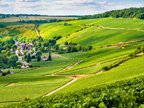 L'Aisne à vélo : des fables et du Champagne