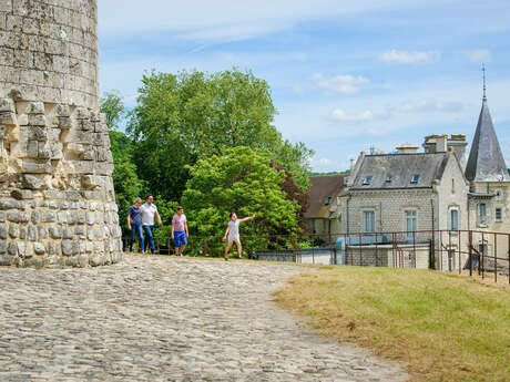 Châteaux du Tardenois