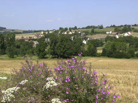 La croix de Montfaucon