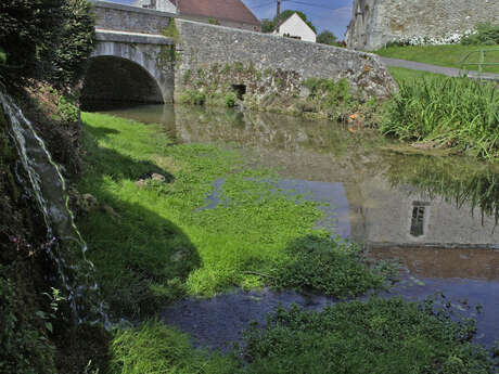 Le vallon de la Verdonnelle