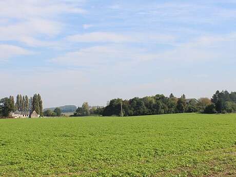 Du côté du terroir