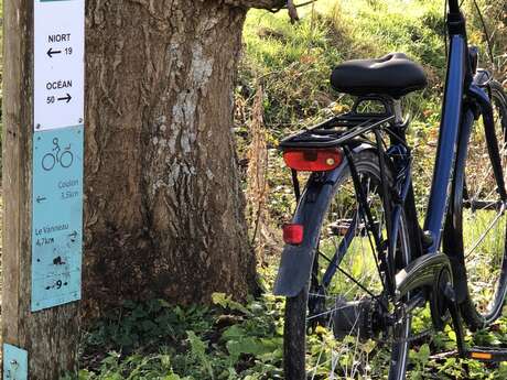 Venise Verte Evasion - location de vélo