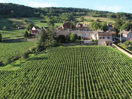 Domaine de l'Evêché - Joussier Quentin et Vincent