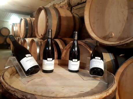 Open house at Domaine Duchemin Open house at Domaine Duchemin