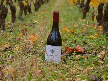 Domaine Clos Saint Jean