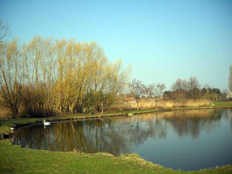 Lac à Crissey