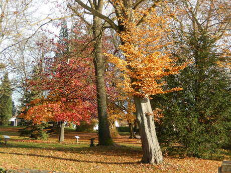 Parc des Lauriers