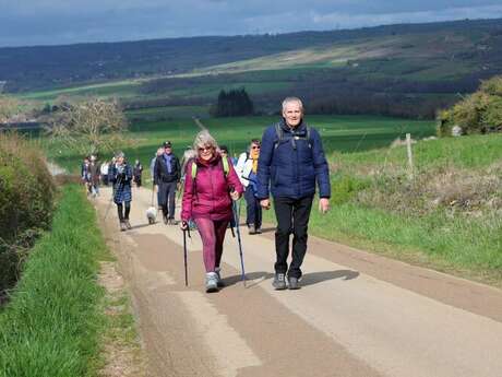 Côte Chalonnaise Wine Marathon walk