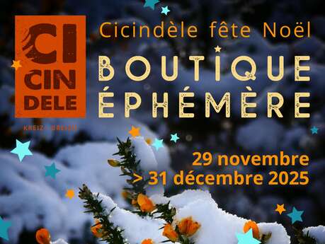 Cicindèle fête Noël - Boutique éphémère