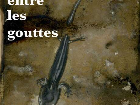 "La vie entre les gouttes"